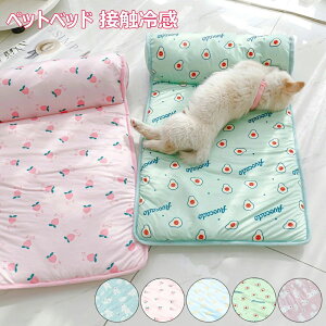 y̔!zybgxbh t  L xbh  ⊴ Ђ ybgp N[\t@xbh ybg}bg L xbh  Ђ ΍ t  \t@   L tė 