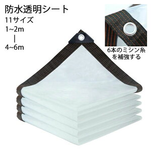 yP10{I1579~1421~ 11/11܂ŁzJ悯V[g hV[g A  lGʗp fMV[g ܂肽 h ό ϊ 悯 J悯 ؉ _ |pi eX  ybg Ƌ