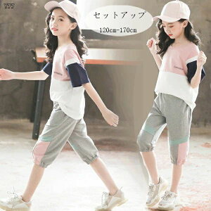 y̔!z؍q ̎q ZbgAbv W[ ĕ W[W TVc+pc 2_Zbg K[Y w TVc ܕpc Ē ʊw ^ s o  p