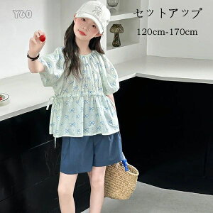 y̔!z؍q ̎q  ZbgAbv LbY ㉺Zbg Vc+V[gpc 2_Zbg K[Y  ĕ gbvX V[c v[g s ][g o 