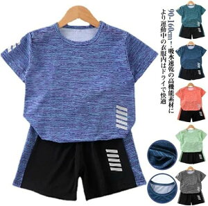 y̔!zX|[cEFA LbY ㉺Zbg V[gpc n[tpc ZbgAbv W[W hC bV hC z   j̎q ̎q TVc