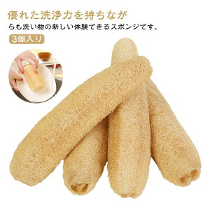 yP10{I2330~2097~ 11/11܂ŁzVRw`} @\ w`}X|W w`}킵 Lb`pi Ȃ ꂪȂ _炩 3 HuV M H