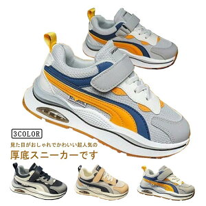 y̔!zTCY ̎q ^ LbY C V[Y _bhXj[J[ ₷ Xj[J[  LbY WjA q y ^  WjA  _bhV[Y g