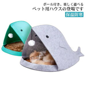 y̔!zT ybgxbh h[^ ybgnEX xbh tFg 薰 Lp ΍ ۉh 􂦂 L ^    LbgnEX Lx