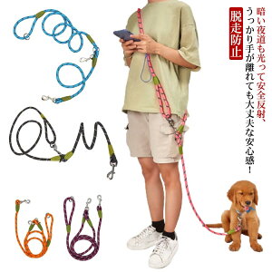 yP2{I2070~2029~ 11/17܂Łz[h  | ^ ^  ΂ߊ| |[h nYt[  S Jt @\[h U o C s jO V