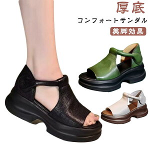 yP2{I2360~2313~ 11/17܂Łž }WbNe[v L Xg[gT_ I[vgDEFbW\[T_ X|[cT_ r JWAT_ T_  