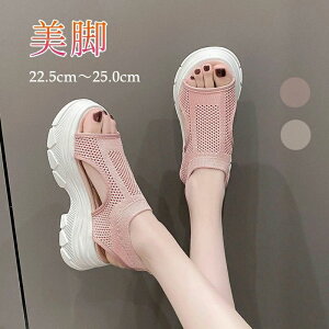 yz!X[p[SALEzT_ fB[X 6cmq[ gAbv RtH[gT_ {[\[ O ~ y _炩 ₷ r V[Y 킢  