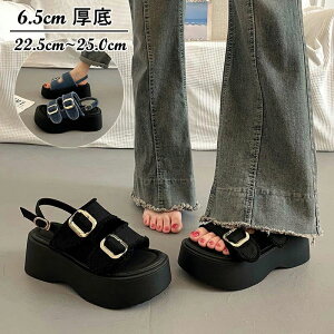 yz!X[p[SALEzT_ fB[X 6.5cmq[ gAbv RtH[gT_ fjT_ O ~ y _炩 ₷ r V[Y 킢 