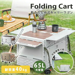 y̔!zL[J[g gVt AEghAS Lknh  4 LX^[t őω׏d40kg RpNg VbsOJ[g J[gAEghA ^ L[