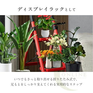 y̔!zݑ r ܂肽  y 4i A~ t Xebv Xebv_[ ͂ q Xebv Xebv | ԑ ݑ ܂肽 ܂肽݋r