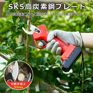 【P5!19800円→実質18810円 10/27まで】充電式剪定ばさみ 剪定バサミ 枝切り 枝切ばさみ 電動剪定バサミ ナイフサイズ調整可能 充電式 充電器付き 庭木 果樹用 剪定鋏 園芸用剪定用具 収納ケー