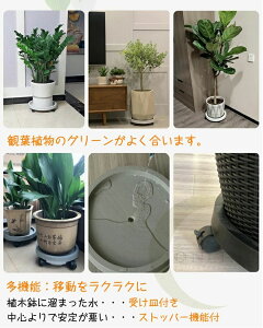 【P5!2250円→実質2138円 10/27まで】プランタースタンド 鉢置き 鉢台 植木鉢台 鉢置台 受け皿付き キャスター台 円形 花台 キューブ キャスター付き 鉢置き 360°回転 ストッパー機能付 ロック