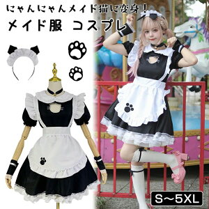 yz!X[p[SALEzCh 5_Zbg NVbN  ̎q 킢 RX`[ hX ZNV[ 傫TCY i [^ l p[eB[ NX}X RXv w  