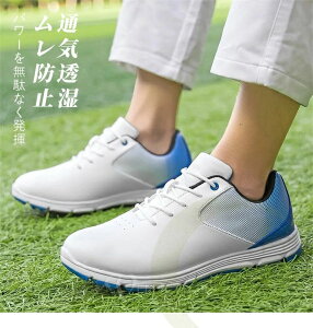 yP5I9980~9481~ 10/27܂ŁzStV[Y Y XpCNX _ ϋv  Xj[J[ C G[G ʋC Stpi S ㋉ StR[X EH[LOV[Y y