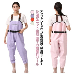 y̔!zEF[_[ C EF[_[ C fB[X ނ 傫TCY tF Jt ^Cgbh\[ k p y Sh  23cmE25.5cm  ƕ _ cA 