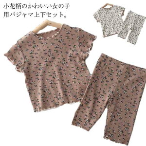 y̔!zqpW} [EFA xr[pW} ԕ  n[tpc V[gpc Y{ K[Y  ėp   u₩ 80 90 100 110 120 130 140 LbYpW} 