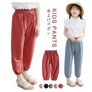 yP2{I1560~1529~ 11/17܂ŁzTGpc  ėp q pc 悯 Y{ Y{ Chpc Opc [EFA LbYpc  o UVJbg h 