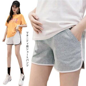 yz!X[p[SALEz}^jeB V[gpc Zp }^jeBpc fB[X [EGA  t 킢  o   n[tpc Ch Dw