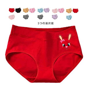 yz!X[p[SALEzK[Y V[c LbY O_Zbg Ci[pc Ci[ V[c 킢 y`pc  Spc Zp V-gpc  Ci[EGA q 