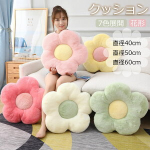 y̔!zԕ NbV `FANbV  zc a50cm a60cm 傫 NbV k    킢  ăNbV c NbV  a rO