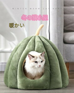 y̔!zLnEX ~p Lpxbh L h[^ xbh   _炩  ~ ^ Lbg p xe QNbVt p ybgpQ ۉh