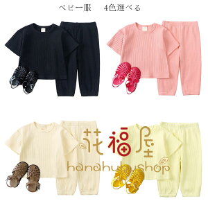 yz!X[p[SALEzxr[ ĕ ̎q ZbgAbv 킢 ㉺Zbg ubN sN y[W CG[ o oq v[g Ԃ xr[ o ʉɑ劈 t  H 