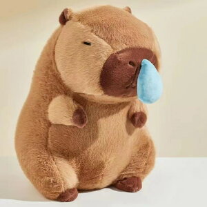 y̔!zʂ Jso @o  ʂ ̂ʂ  Jso  킢 _炩 p  l` jv[g 24cm 