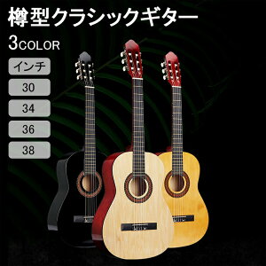 yP10{I5580~5022~ 11/11܂ŁzM^NVbNM^[ SҗpAR[XeBbNM^[ ǂ肵 dグ NVbNM^[ S M^[ AR[XeBbNM^[ 30