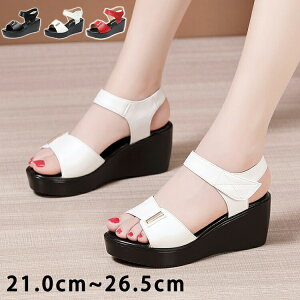 yz!X[p[SALEzT_ T_ fB[X }WbNe[v 傫TCY TCY q[6cm Sn悢   킢 C  l 񂾂 q[T_ 