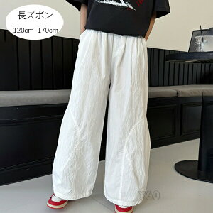 yz!X[p[SALEz؍q ̎q Chpc zCg Y{ Opc LbY  pc qǂ ǂ ̎q w Y{ n W[ i ʊw 