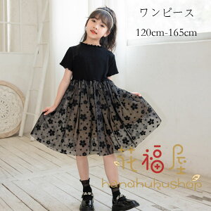 y̔!z؍q ̎q s[X ubN ăs[X s[X tH[} \  s[X G Beʐ^ p[eB[ Cxg a v[g s[ 