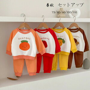 yz!X[p[SALEzxr[ tH ZbgAbv LbY ㉺Zbg   LmR ~J ^ ʉ ʊw t H ؍ qǂ  XEFbg Y{ a 