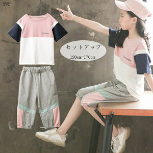 y̔!z؍q ̎q ZbgAbv W[ ĕ W[W TVc+pc 2_Zbg K[Y w TVc ܕpc Ē ʊw ^ s o  p