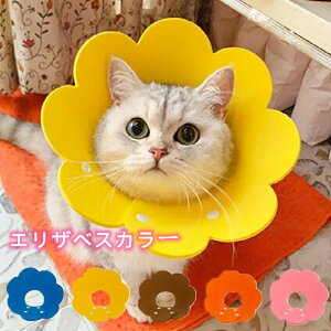 y̔!zGUxXJ[ y2Zbgz ybg L  \tg GJ y ̕ی XgXy J[ S M L tFgt[GJ 2g _炩 tFg t[