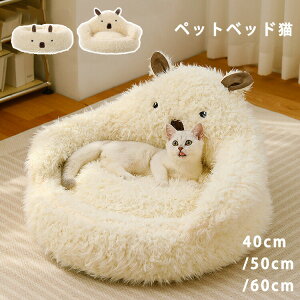 yP2{I2651~2598~ 11/17܂Łzybgxbh ~ L ybg\t@[ Lxbh pi ^ q ybgpi 􂦂 ~ ӂӂ g   LbgnEX xe