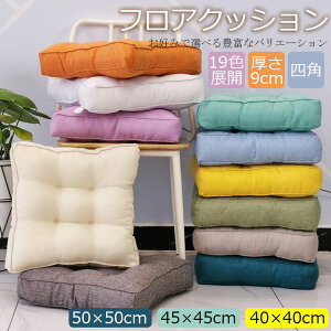 yP2{I2071~2030~ 11/17܂ŁzNbV  唻 zc  9cm 40×40cm lp 傫   NbV k    NbV xbh 傫 킢 ̈U  