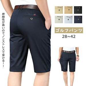 yP2{I2746~2691~ 11/17܂ŁzStEFA V[gpc Y 傫TCY Xgb` Lkǂ Y Xg[g n X rWlXΉ i Stp X|[cp 