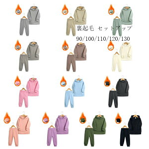 y̔!zq N ZbgAbv 13FIׂ jZbNX 2_Zbg LbY ㉺Zbg ̎q j̎q t[ht p[J[+pc JWA X|[cEFA ~ ʉ ʊw