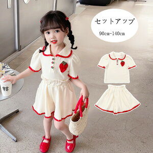 y̔!zq ZbgAbv LbY q ̎q ĕ xr[ c TVc+ V[gpc 킢  y gbvX ʉ ʊw Ē K[Y Cxg a