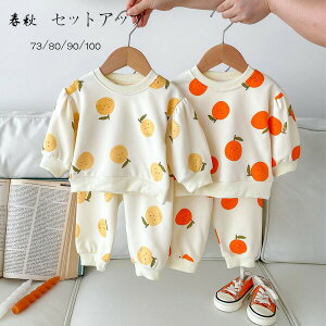 yz!X[p[SALEzxr[ tH ZbgAbv LbY ㉺Zbg ̎q j̎q  IW Zbg 73/80/90/100 ^ ʉ ʊw t H ؍ qǂ  XEFbg 