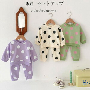 yz!X[p[SALEzxr[ tH ZbgAbv LbY ㉺Zbg hbg 2_Zbg ̎q j̎q ʕ Zbg 73/80/90/100/110 ^ ʉ ʊw t H ؍ qǂ  XE