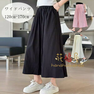 yz!X[p[SALEzq Chpc ̎q ăpc ubN JWApc t Vi ʉ ʊw LbY Chpc n  {gX Y{ W[ 킢 