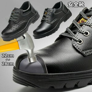 yP2{I2363~2316~ 11/17܂ŁzSC Y fB[X ƌC |c Ȃ ~ ɂ Xj[J[ 񂺂C nCJbg _ ܐی ϖ ϖ h X|[