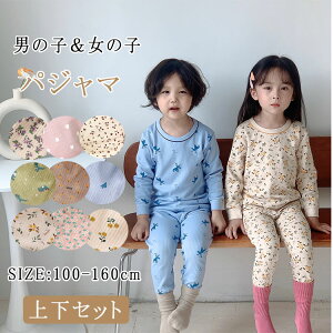 yP2{I2915~2857~ 11/17܂ŁzpW} LbY H~  j̎q ̎q ㉺Zbg ӂ ʋC z  t H q  Q ZbgAbv xr[ LbYpW} Rb