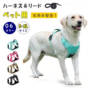 y3080~3018~ P2p! 11/27 01:59z [hZbg  n[lX AIRTAGP[Xt nht  Ȃ ȒP ʋC ˑf U o ybgpn[lX S M L XL  ^