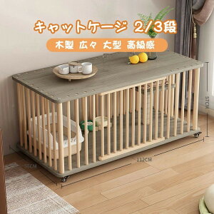 y̔!zL P[W LbgP[W 1/2i ؐ LX^[t   LbgnEX lR nEX i  ی Eh~   lɊC It LX ^ 