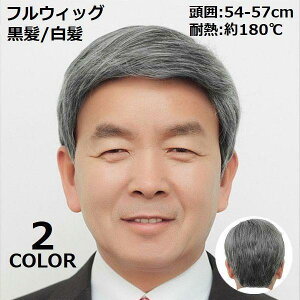 yP2{I2559~2508~ 11/17܂ŁztEBbO  Y jp Np N R ~fBAV[g Xg[g  ubN  i`