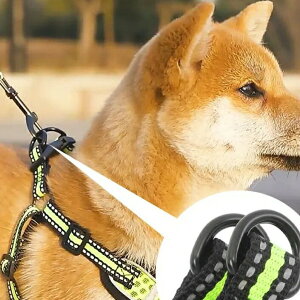 yP2{I2158~2115~ 11/17܂Łzn[lX [h    EȂ ȒP ^ ^ ^ U ybg