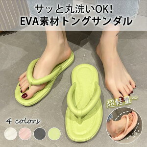 y2388~2340~ P2p! 11/27 01:59zT_ fB[X ؂ gOT_ r[T Xbp y  IV C s r[`T_ tbgT_