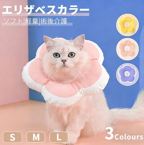 y̔!z\tgyʃ^Cv h[icGUxXJ[ pi pȎyʏpEFAی쏝rߖh~ ~h~wXPA `OX lRLp